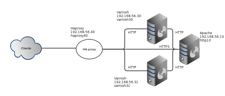 Topologie du laboratoire : HAProxy devant deux serveurs Varnish devant Apache