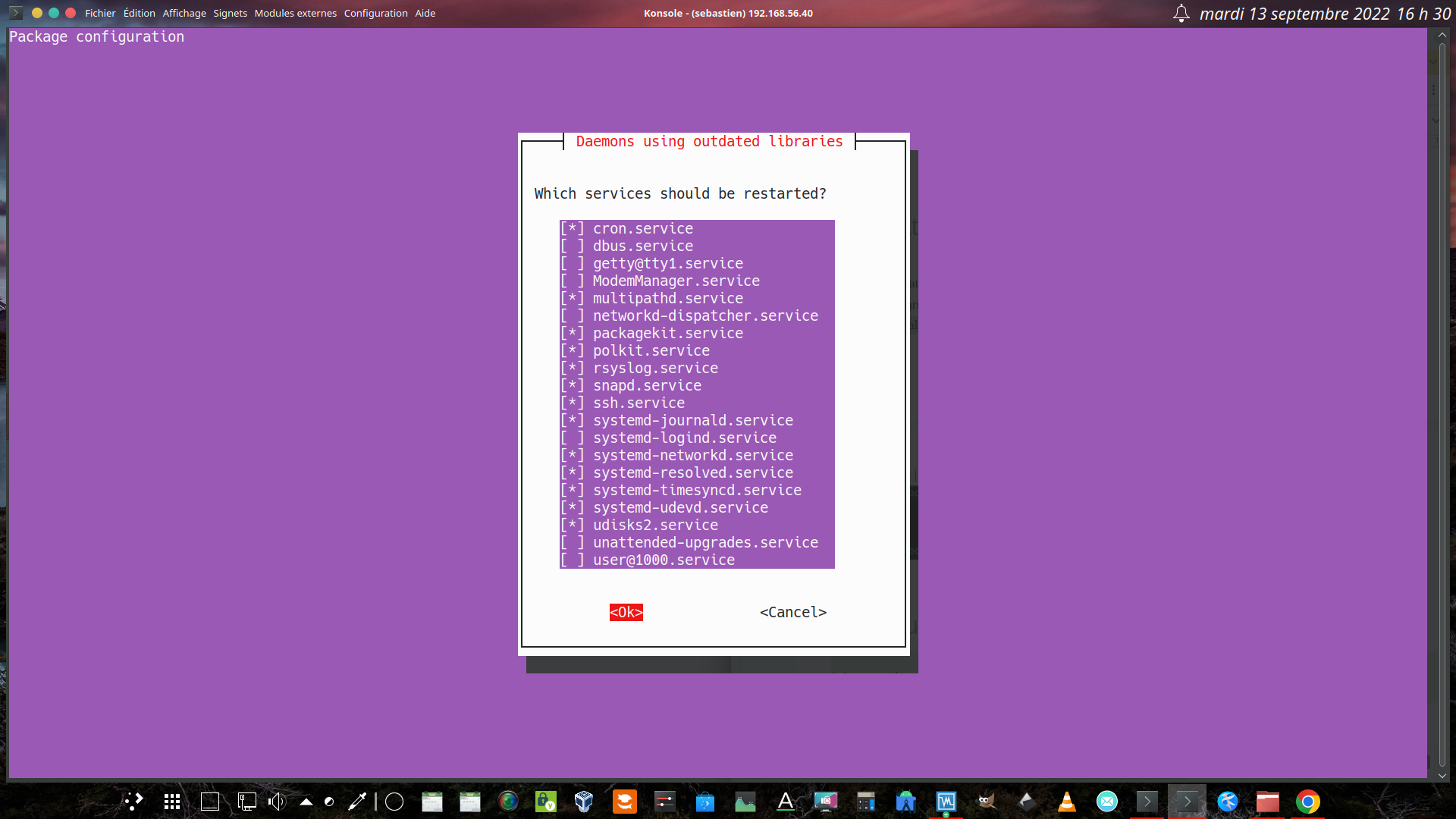Sortie de la commande apt install varnish