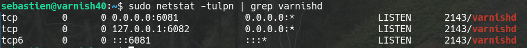 Sortie netstat montrant varnishd en écoute