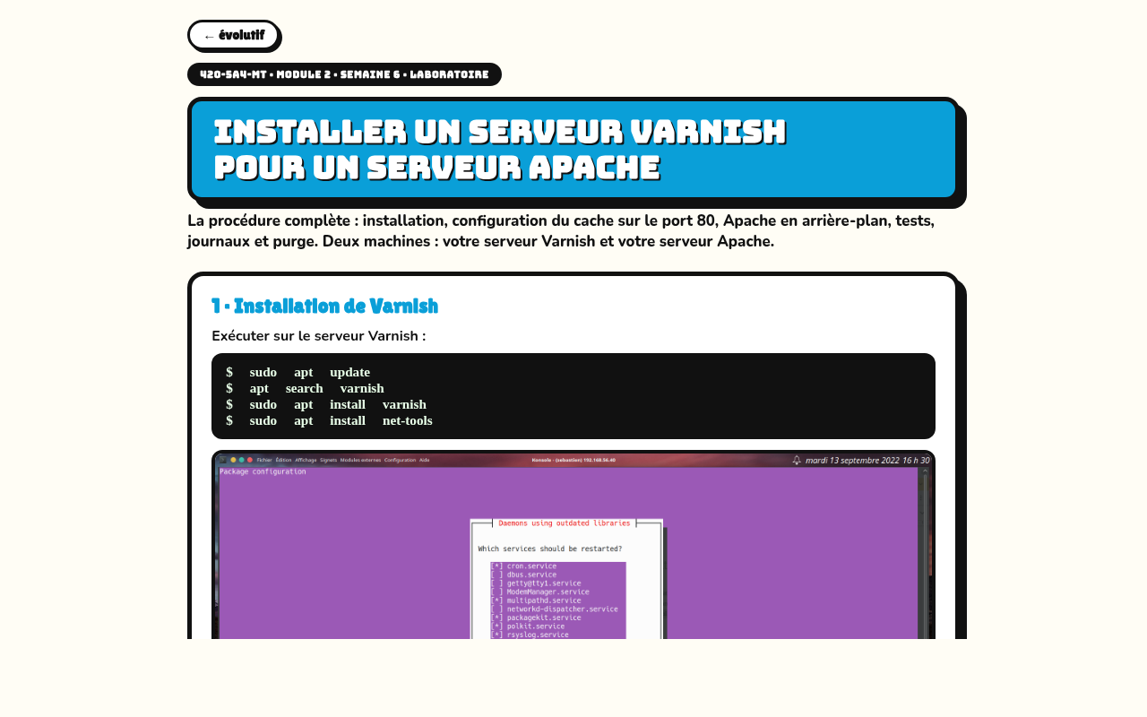 Guide Varnish